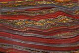 Polished Tiger Iron Stromatolite - Billion Years #129442-1